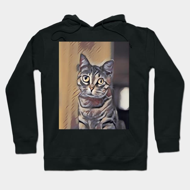 Funny cat painting abstract Hoodie by miamia
